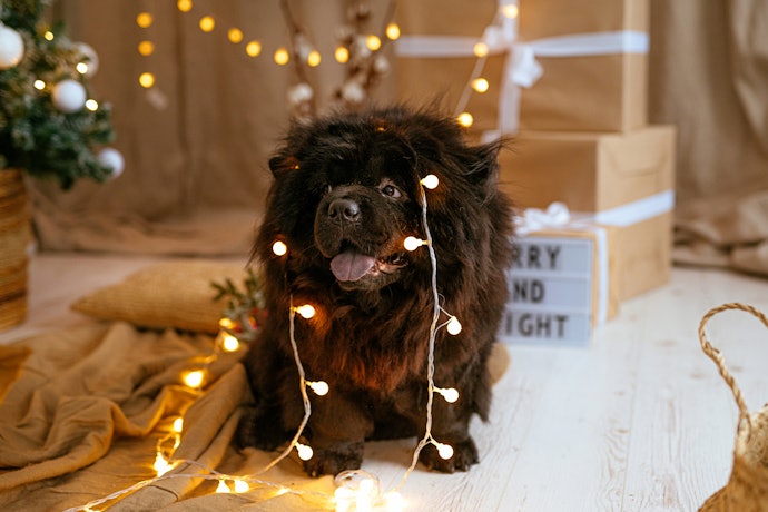 LED Lights Are Versatile and Good for Long Periods of Time
