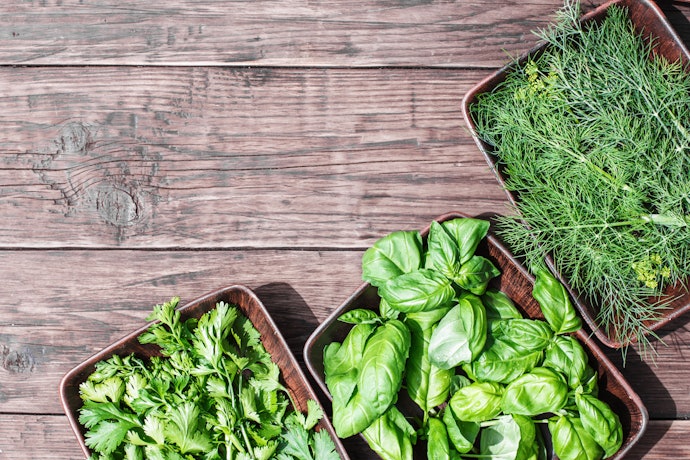 Tender Herbs Need Water