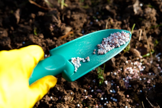 Plastic is Lightweight and Perfect for Container Gardens