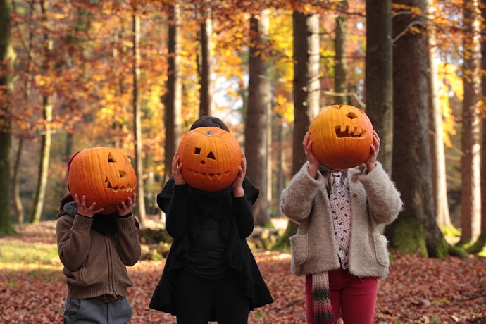 Try Family-Friendly Décor for Kids