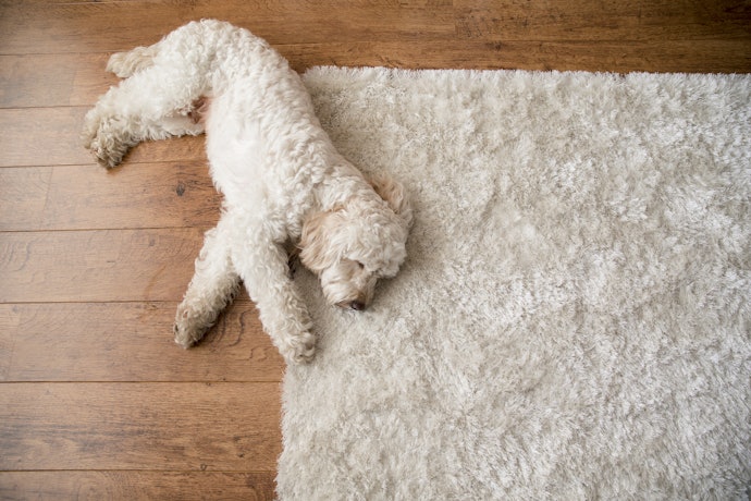 Sleeping Style Determines Bed Shape