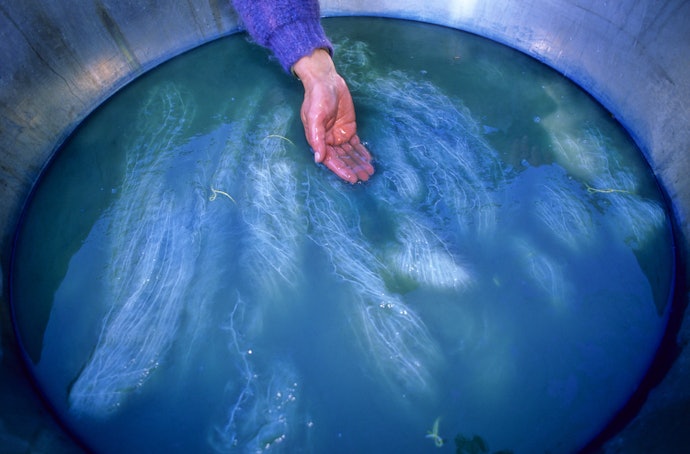 Vat Dyes are for Cellulosic Fibers and Silk