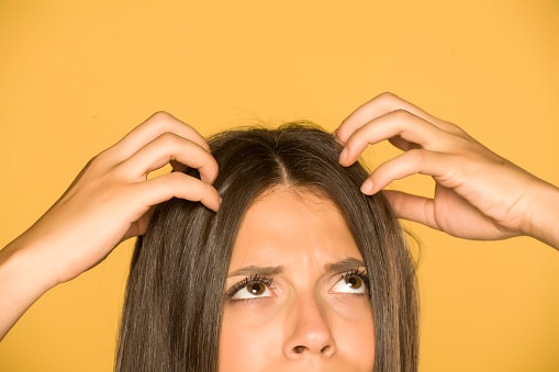 For Itchy Scalps, Go for Anti-Inflammatory Ingredients