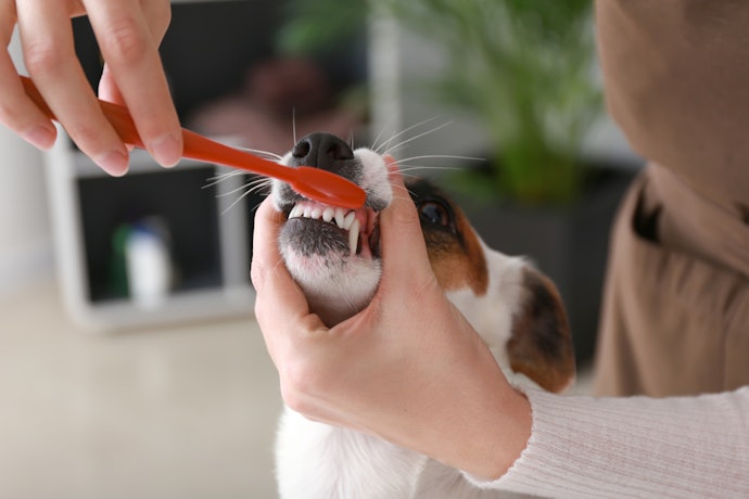 Toothpastes Provide Deep Cleaning