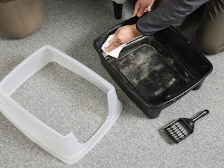 Ease of Cleaning