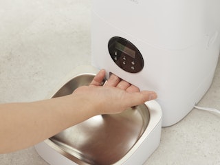 Protection Against Tampering