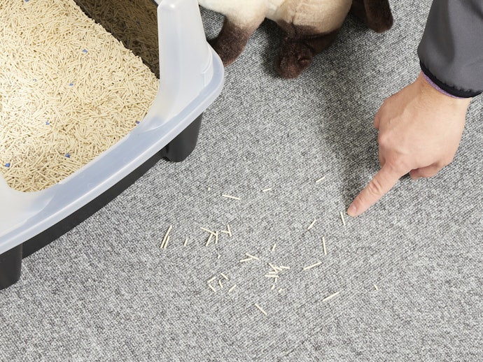 Litter-Scattering Prevention