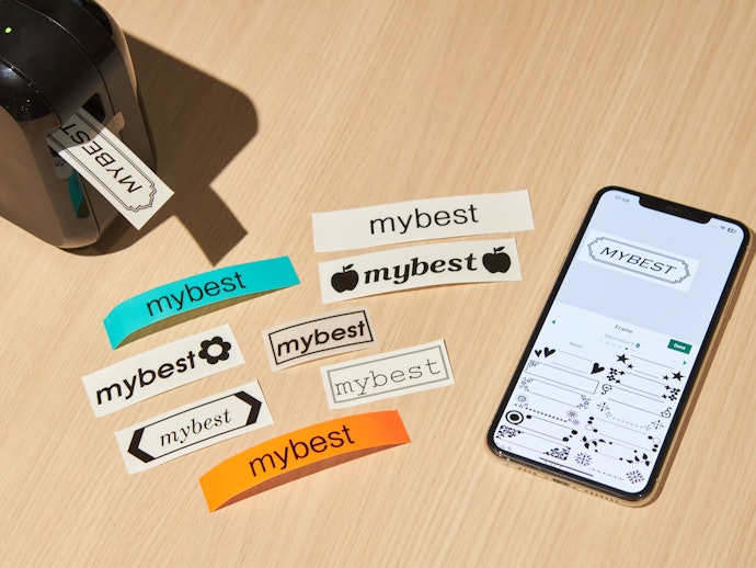 Label Variations