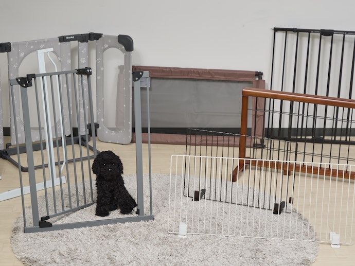 Dog Gates Evaluation