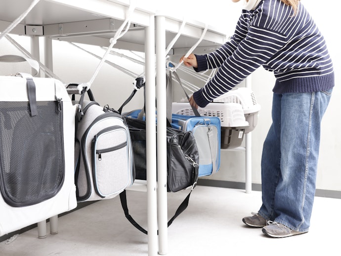 Cat Carriers Evaluation