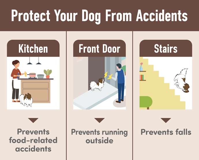 By Limiting the Range of a Dog’s Movement, Dog Gates Can Help Prevent Accidents