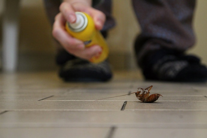 Take Caution When Spraying Indoors
