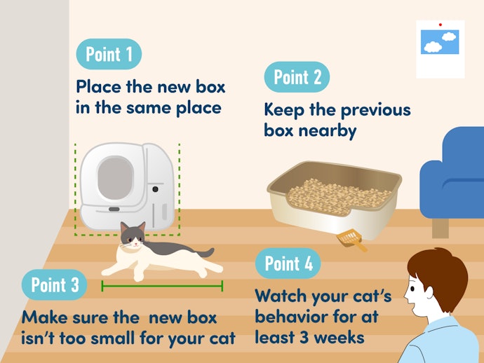 Patience Is Key: Let Your Cat Get Used to Its New Bathroom