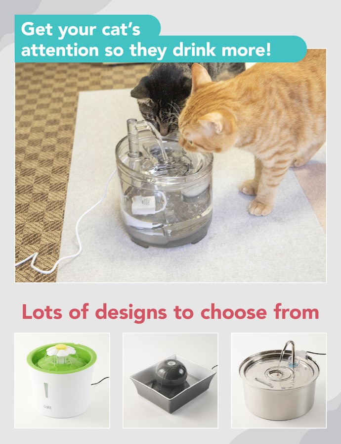 The 7 Best Cat Water Fountains of 2024, Tested and Reviewed