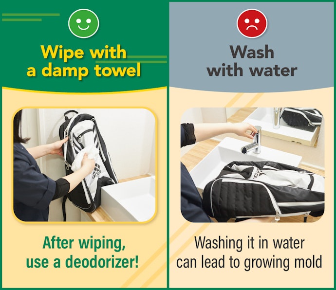 Washing the Bag Can Lead To Mold, so Use a Wet Towel and Deodorizer