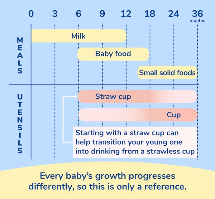 Generally From 6 Months to 3 Years, Gradually Transitioning to Normal Cups