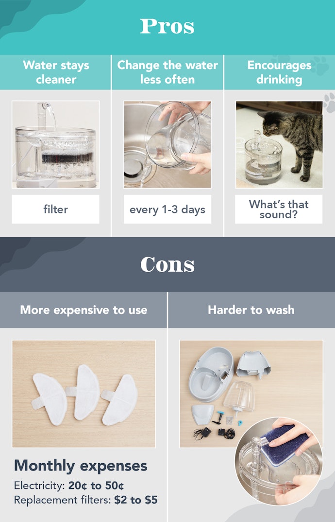 They Require Maintenance and Running Costs, but Provide Constant Clean Water