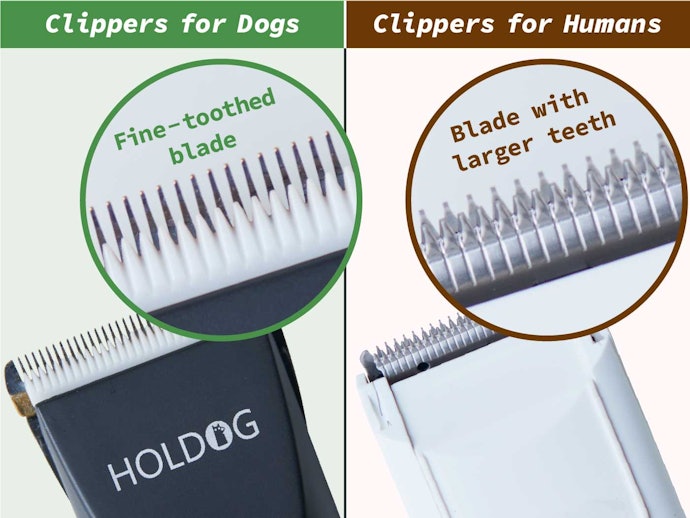 10 Best Dog Clippers of 2023 Tested and Reviewed mybest