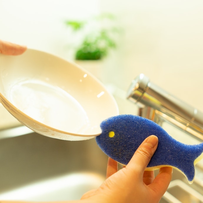 Sponges that Put a Lot of Thought into Design Really Work!
