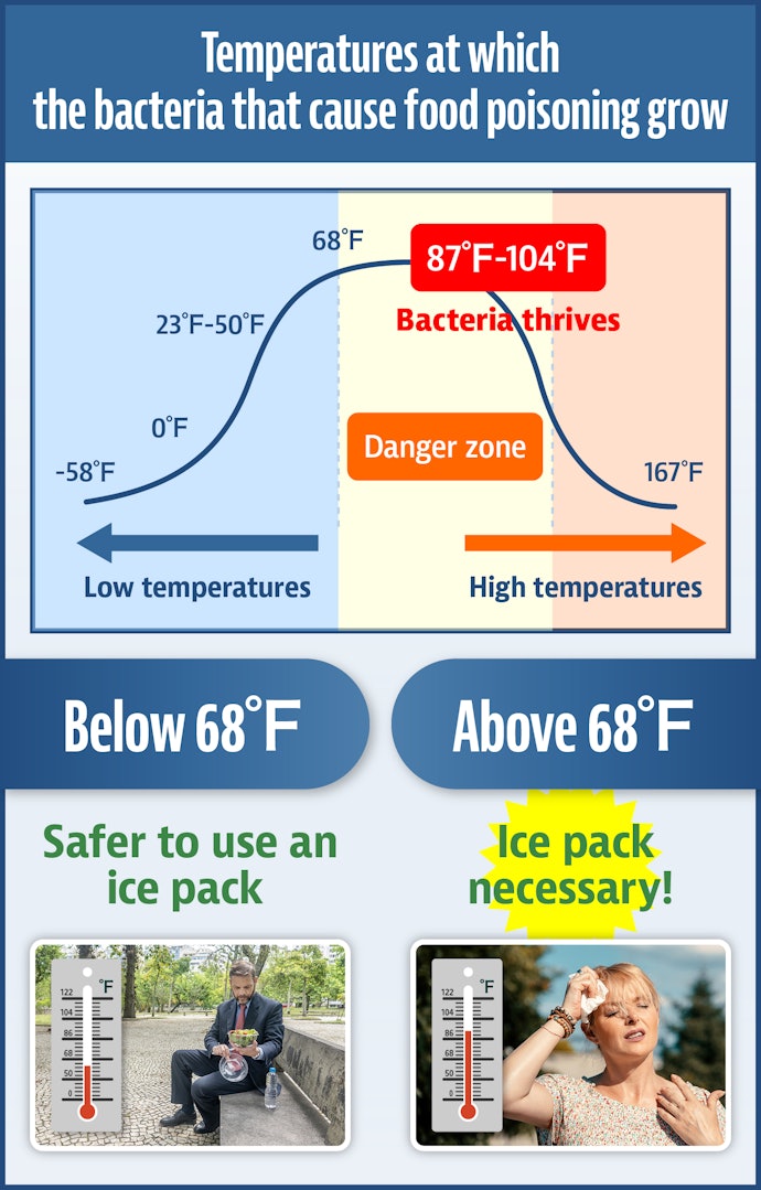 To Prevent Food Poisoning, Use Ice Packs When It’s Warmer Than 68 Degrees Out