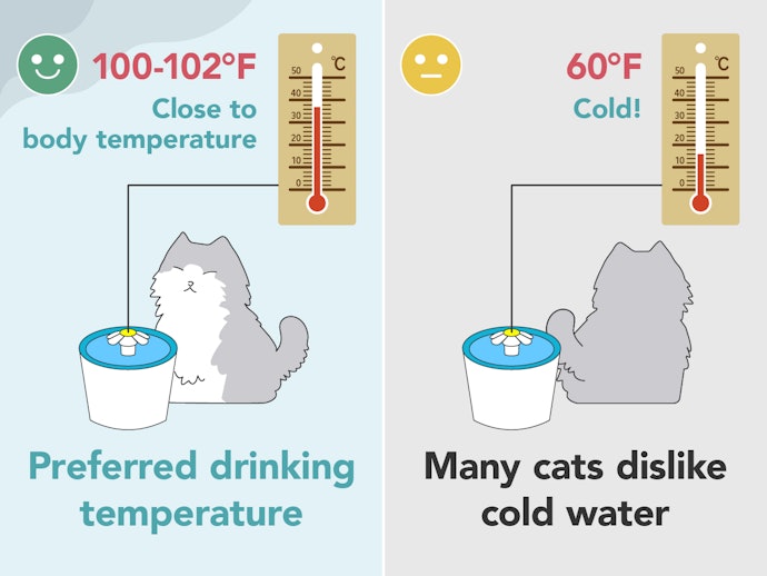 Warm Water Is Best