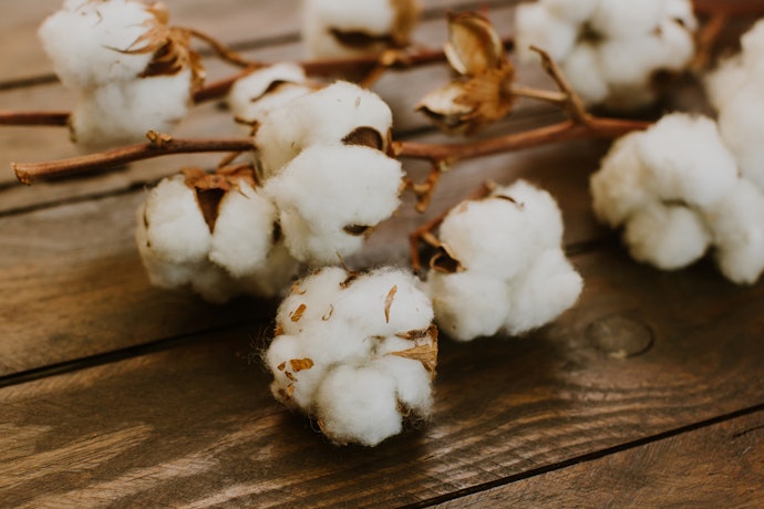 Organic Means Better Quality Cotton Fibers