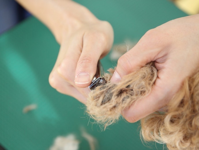 Cut Nails about Once a Month