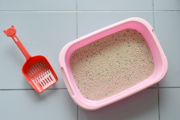 Scoop Frequently and Do an Occasional Deep Clean