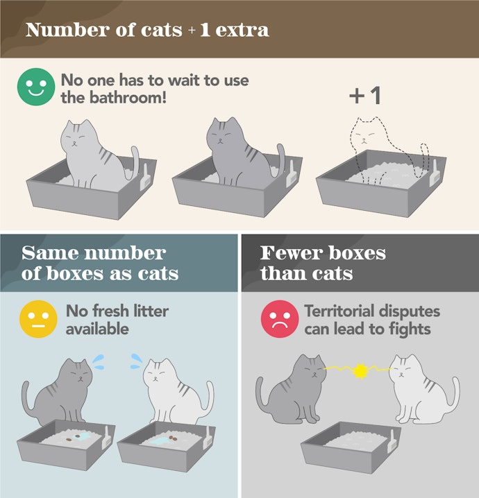 "The Number of Cats Plus One" Can Help Avoid Territorial Fights