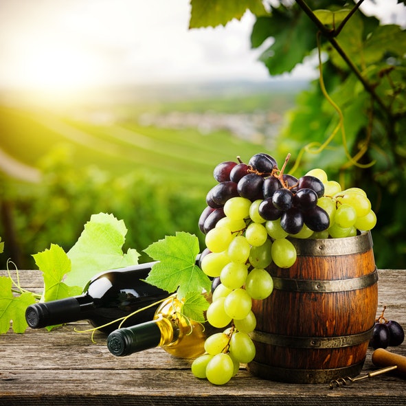 Ones That Drew Out the Character of the Grapes Were the Best-Tasting