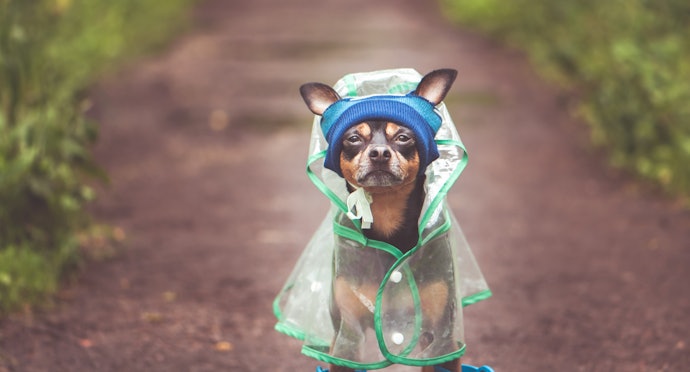 Weather Resistance for Outdoor Crates