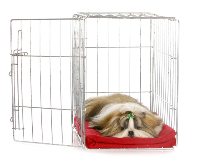 Metal for Large or Lively Dogs