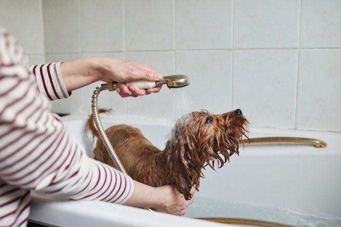 Handheld Shower Heads are Flexible and Easy to Use
