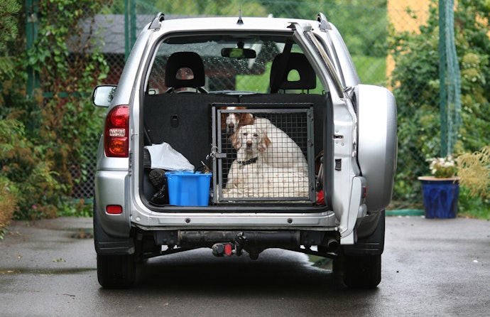 Compact Crates are Suited for Travel