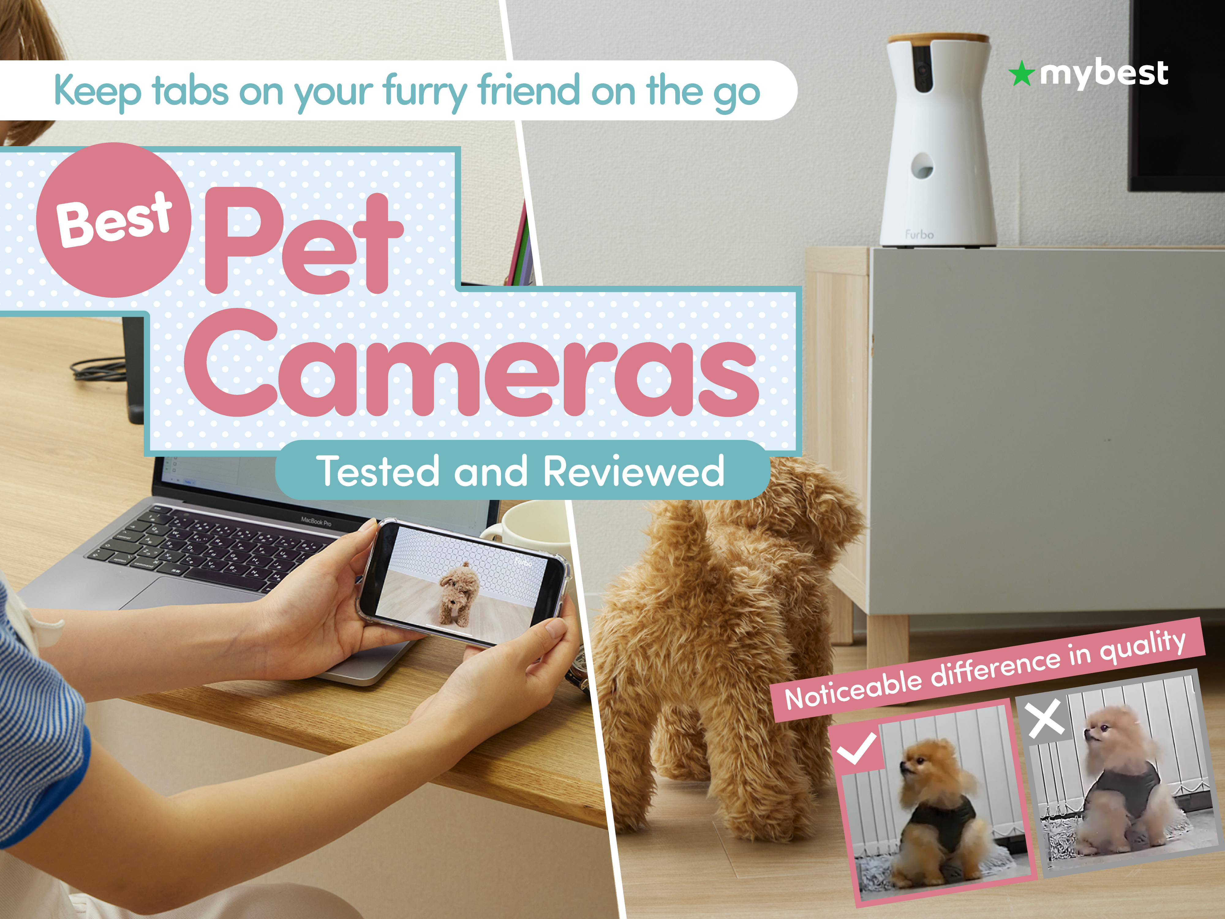 8 Best Pet Cameras [Tested and Reviewed] | mybest