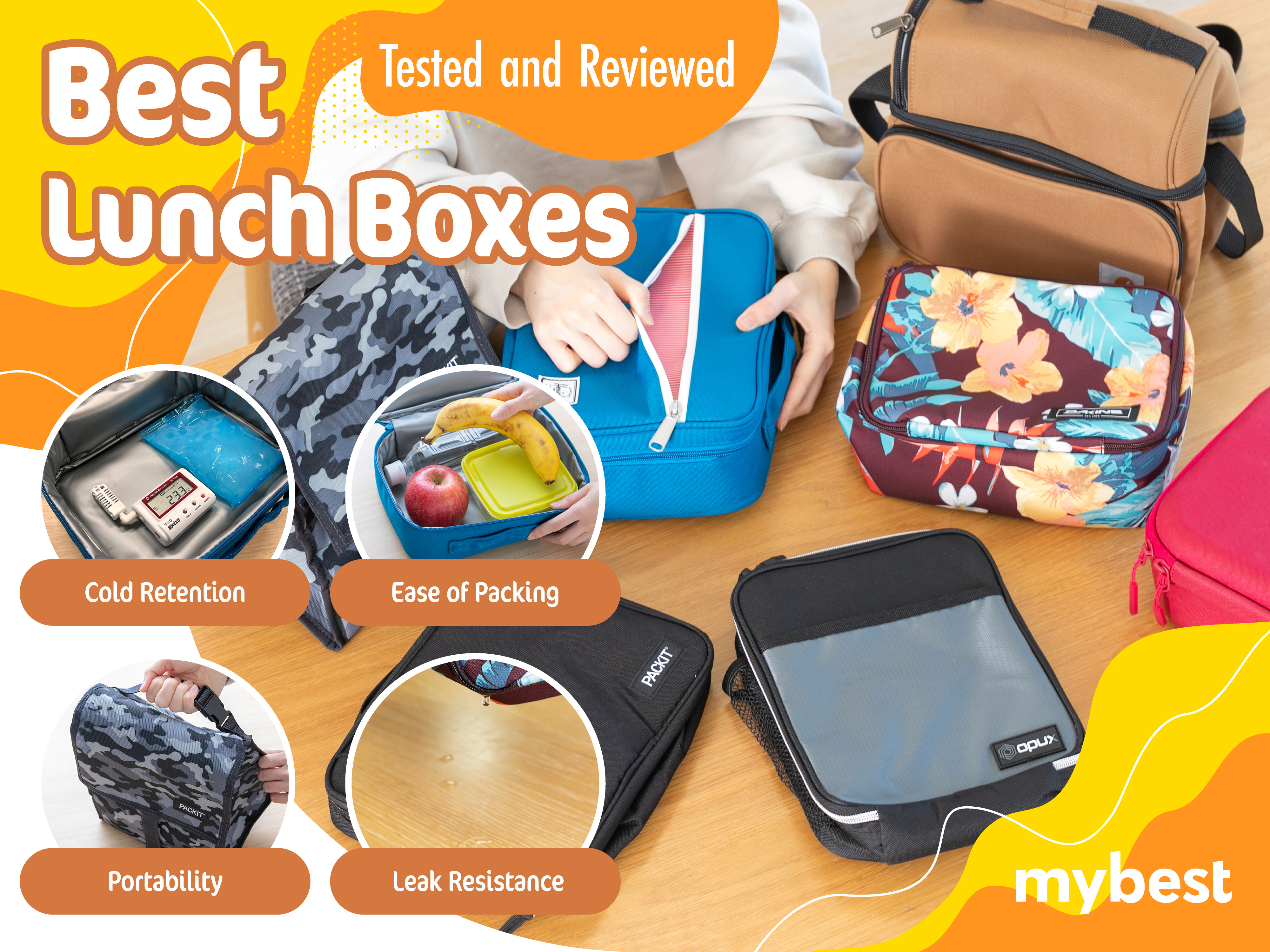 10 Best Lunch Boxes [Tested and Reviewed] | mybest