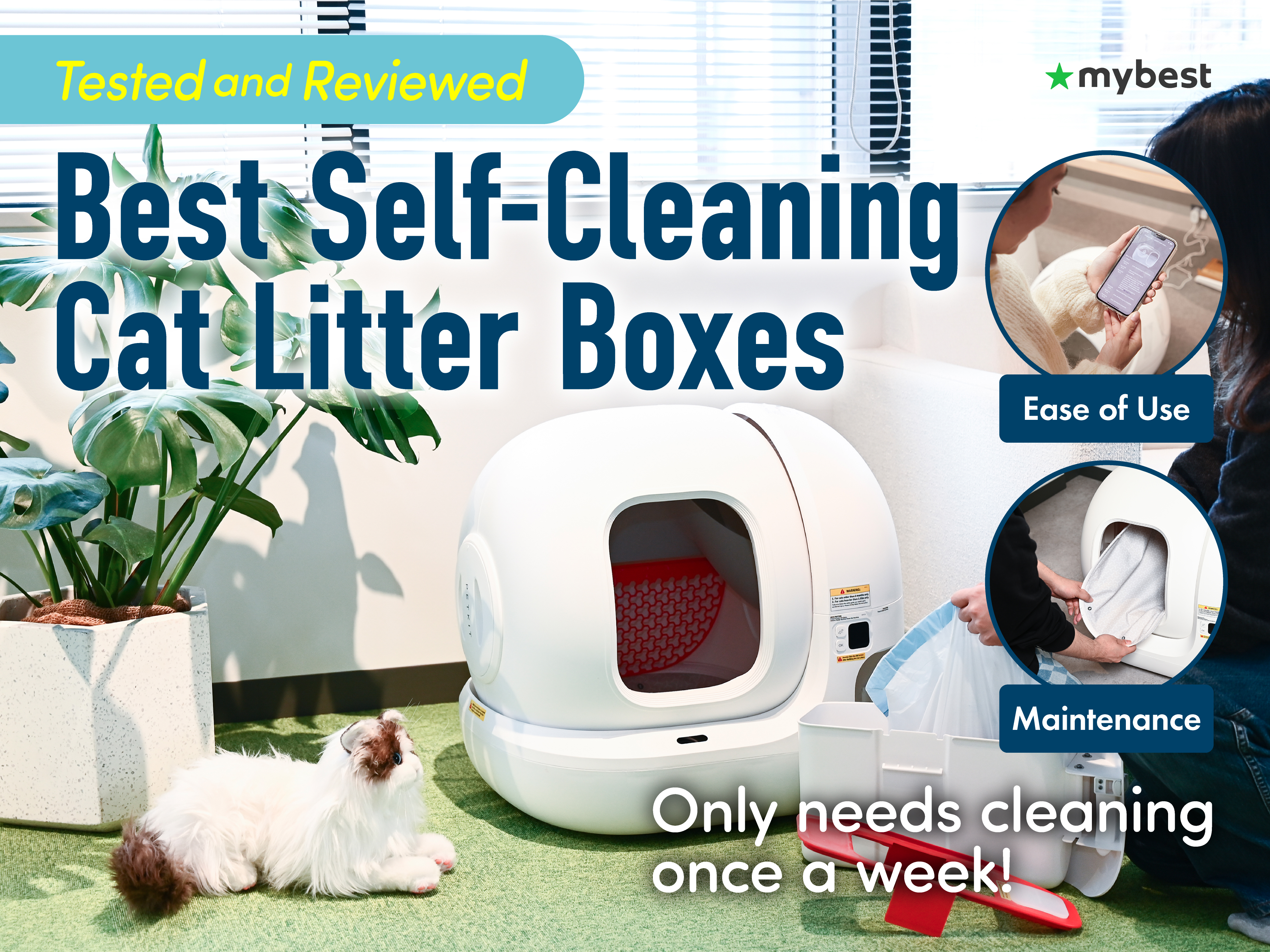 5 Best Self-Cleaning Cat Litter Boxes [Tested and Reviewed] | mybest