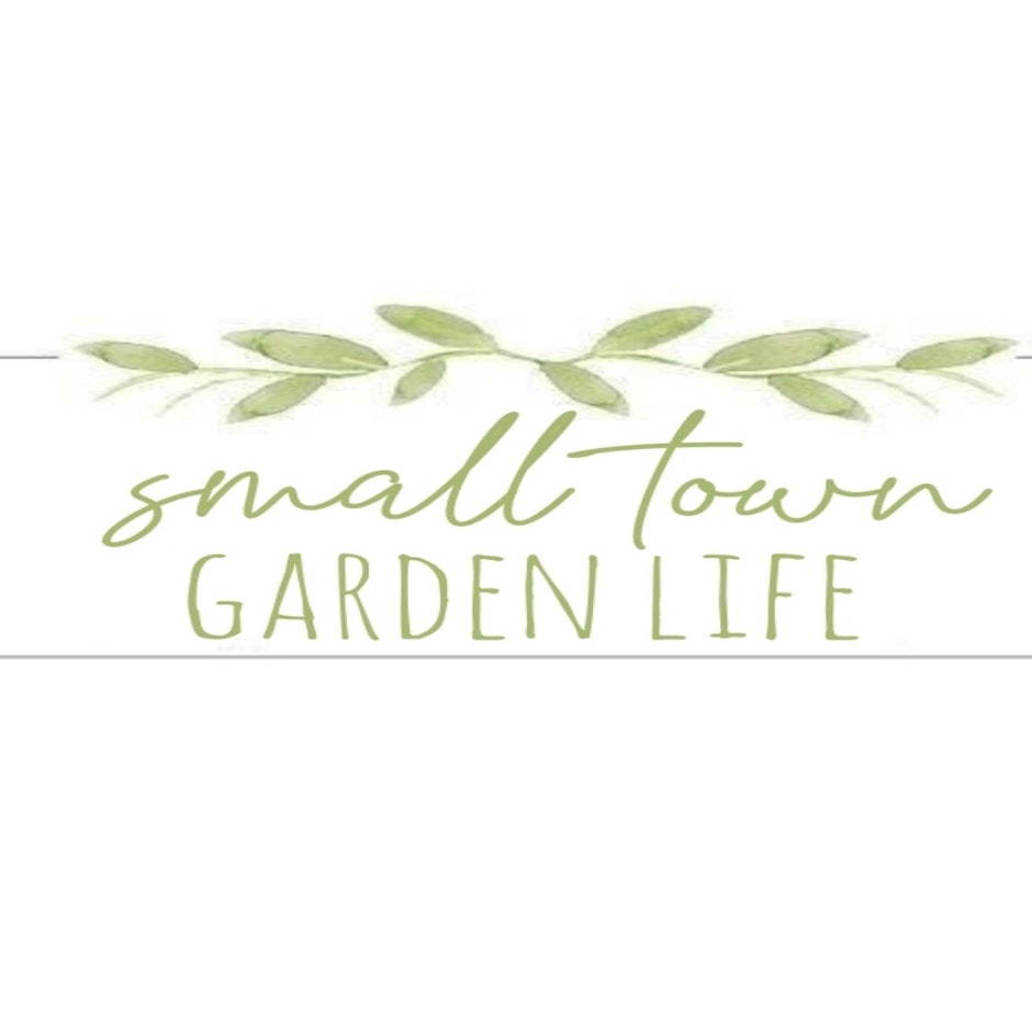 Lindy's Top 10 Must-Have Items for the Beginning Gardener