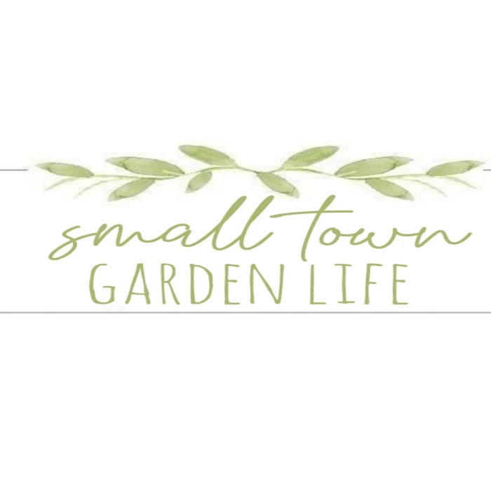 Lindy's Top 10 Must-Have Items for the Beginning Gardener