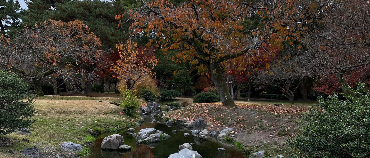 Sharon’s 10 Essentials for Glowing Skin