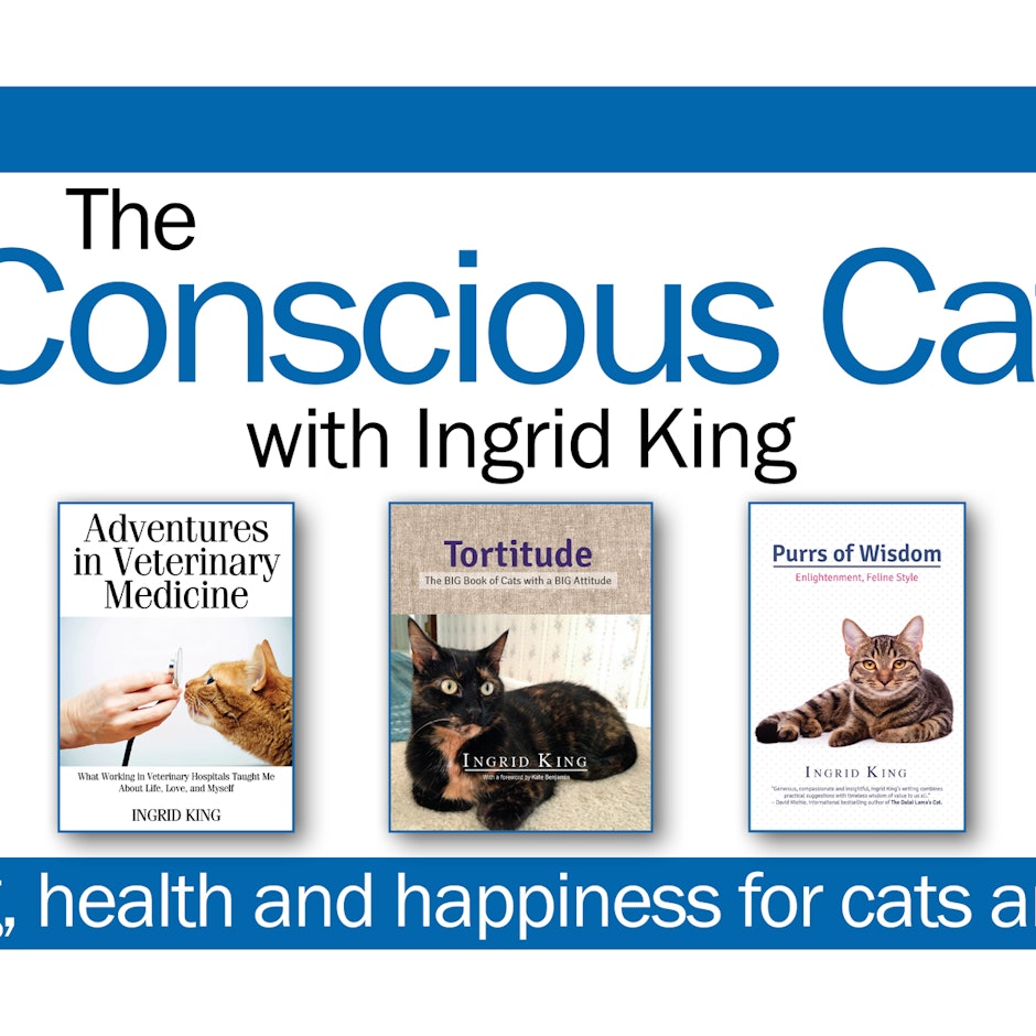 Ingrid King's Top 10 Picks for Cat Care