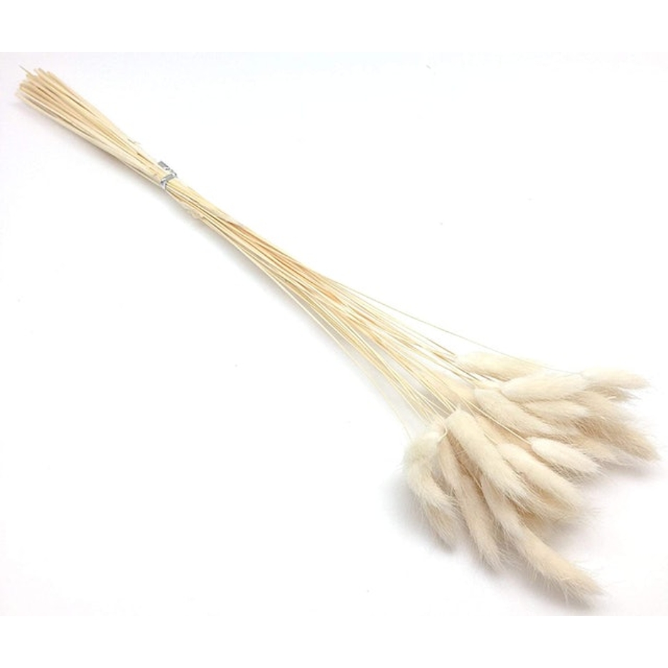 Pepperlonely Rabbit Tail Grass Bouquet Image 1