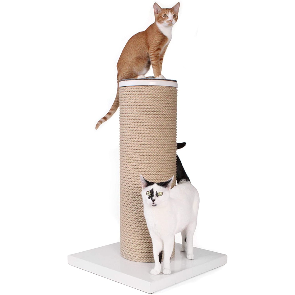 Primetime Petz Hauspanther MaxScratch Image 1