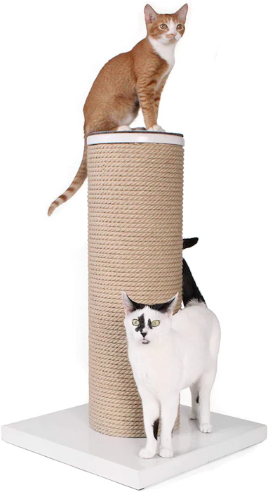 Primetime Petz Hauspanther MaxScratch Image 1