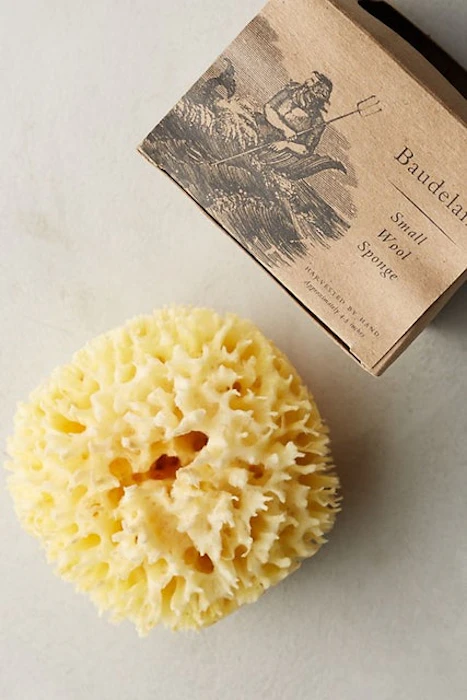 Anthropologie Baudelaire Small Wool Sponge Image 1
