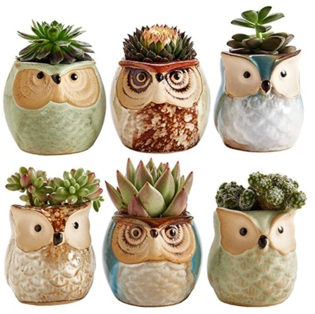 Owl Succulent Ceramic Pot Set 1