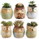 Sun-E Owl Succulent Ceramic Pot Set 1
