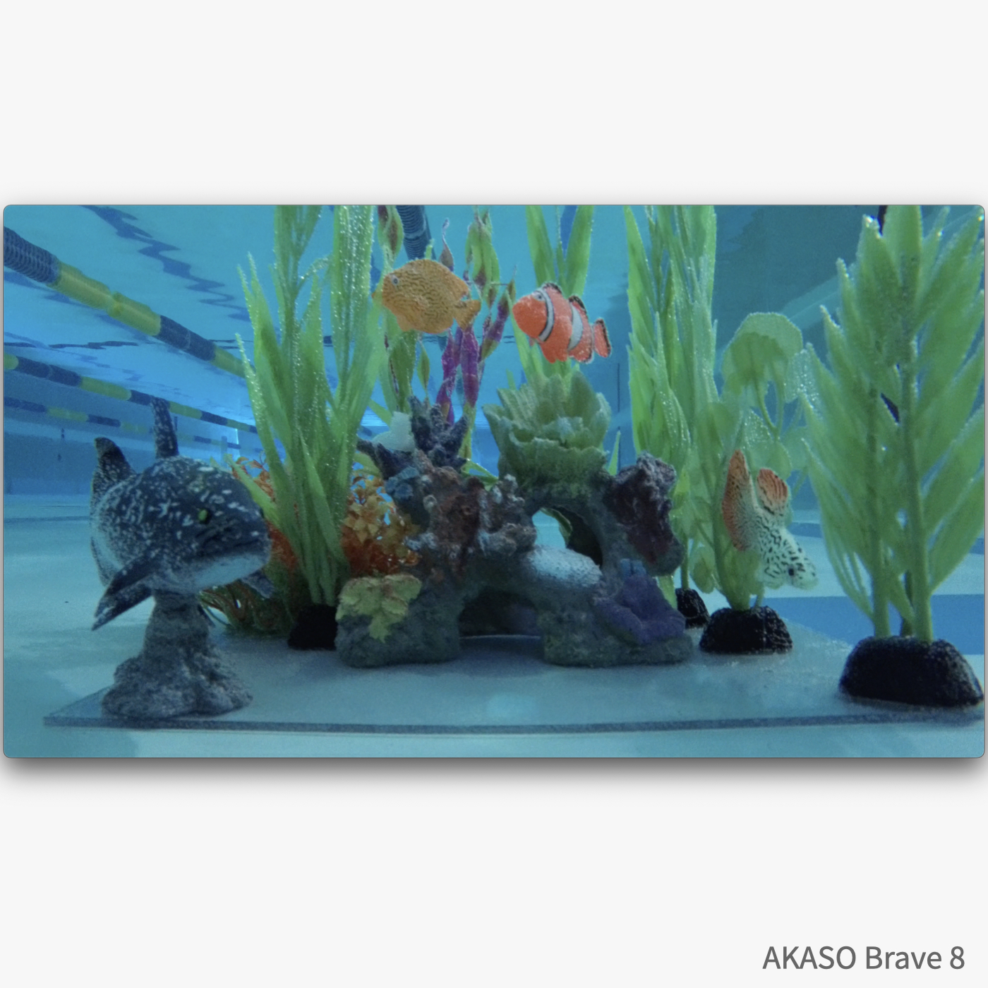 AKASO Brave8 7