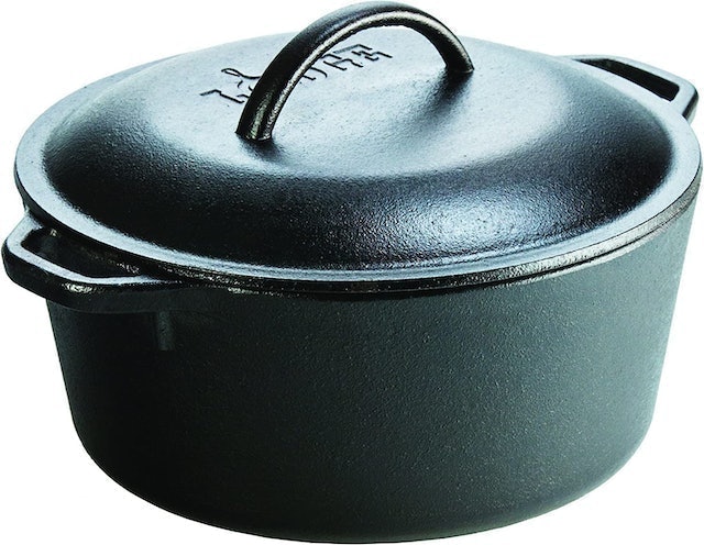 Seasoned Cast Iron 4