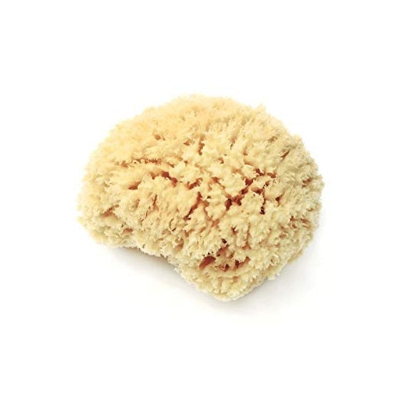 Natural Sea Wool Sponge 1